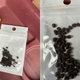 Image for article titled No, You Should Not Plant Any Mystery Seeds You Get in the Mail